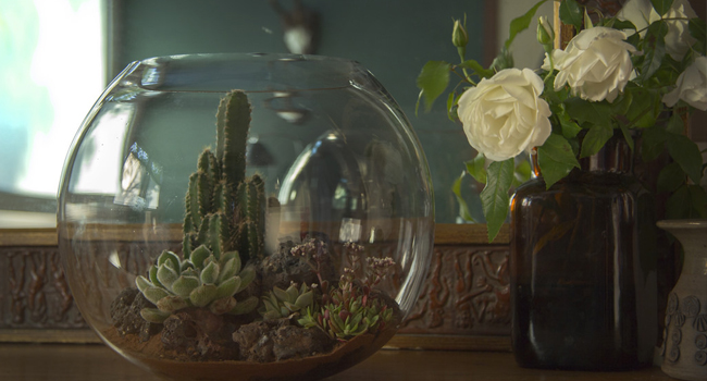 Succulents in a terrarium beside a vase of flowers.